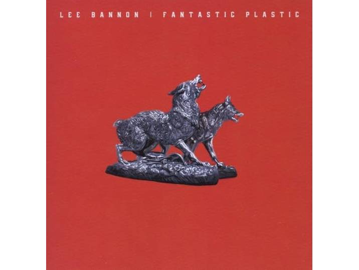 Fantastic Plastic