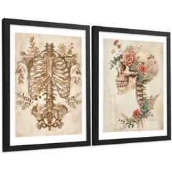 POSTER Set aus 2 Anatomie Mensch Drucke und Wandbilder mit Skelett Schädel Wirbelsäule Rippen Becken Klassischer Stil Größe Schwarzer Rahmen A3