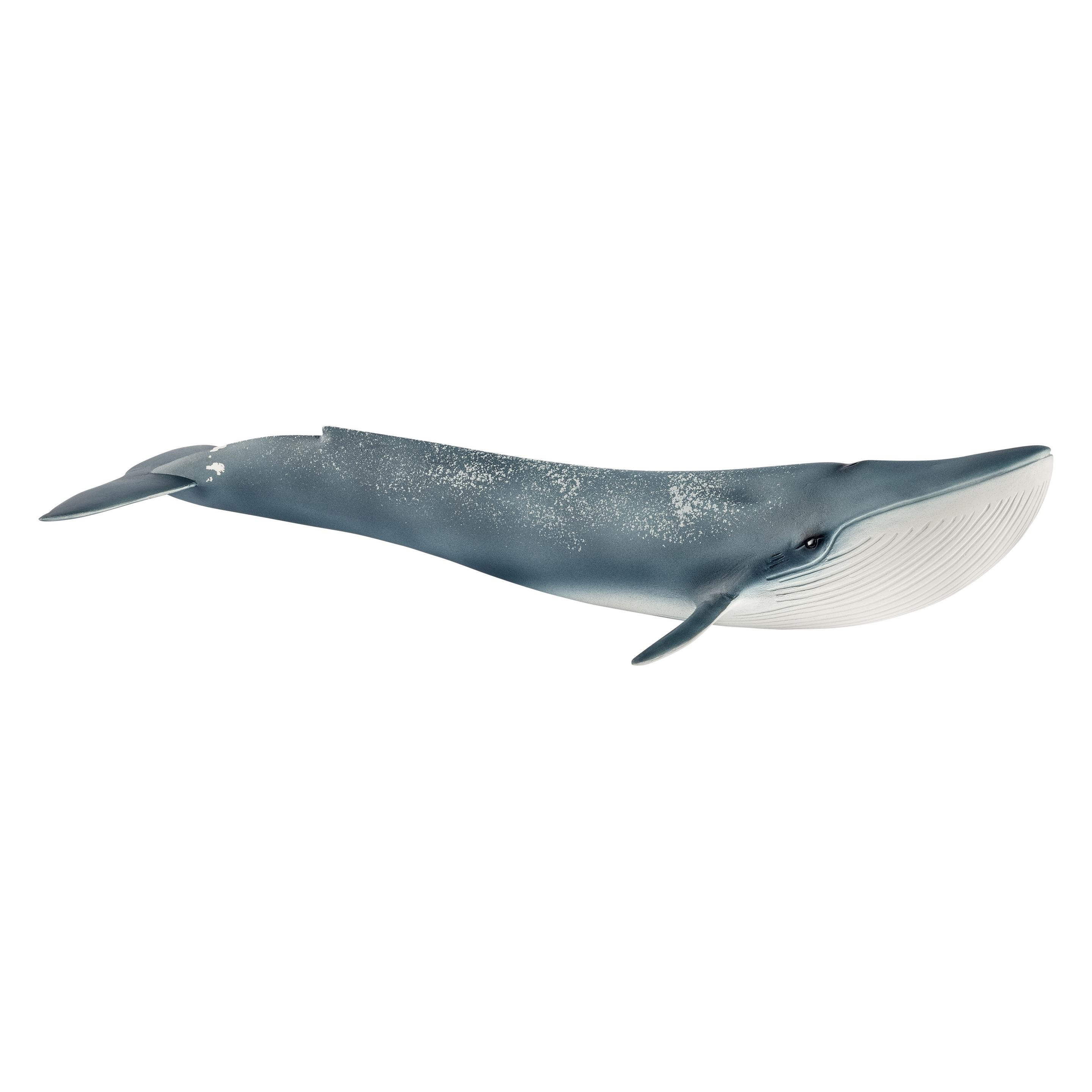 Schleich Schleich-Blauwal (19345)