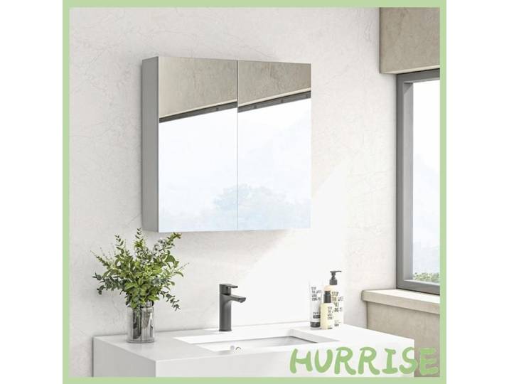 Cocosity Armoire Murale De Salle De Bain Miroir Placard De Rangement 2 Portes 3 Niveaux Étagère Réglable 60 X 15 X 60 Cm Blanc