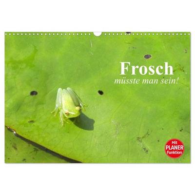 Frosch müsste man sein! (Wandkalender 2026 DIN A3 quer), CALVENDO Monatskalender