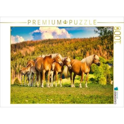 CALVENDO Puzzle Gruppe mit Fohlen | 1000 Teile Lege-Größe 64x48cm Foto-Puzzle für glückliche Stunden, Sonstige von , Calvendo Puzzle