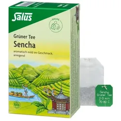 GRÜNER TEE Bio Salus Filterbeutel 15 St