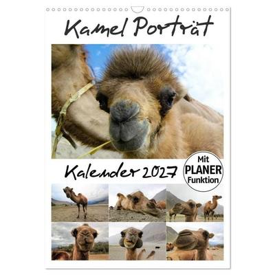 Kamel Porträt (Wandkalender 2027 DIN A3 hoch), CALVENDO Monatskalender