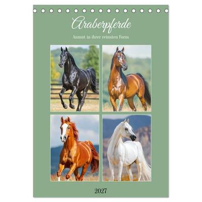Araberpferde. Anmut in ihrer reinsten Form (Tischkalender 2027 DIN A5 hoch), CALVENDO Monatskalender