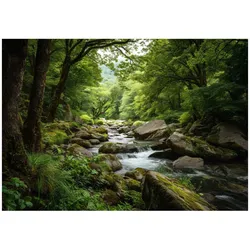 FOTOTAPETE Wald Natur Grün 250x175 cm