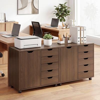 Lirago 5 Drawer Storage Cabinet on Wheels with Adjustable Shelf