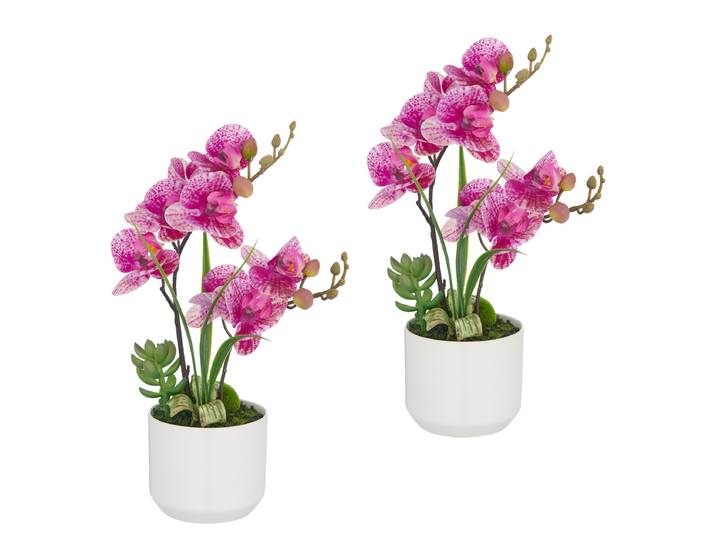 Kunstblume Phalaenopsis Typ C 20 x 30 x 10cm Pink