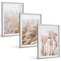 BILDER SET 3er Set - 40x60 cm Silberner Rahmen - Grasflächen in Braun- und Beigetönen