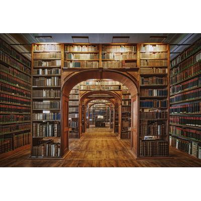 Fototapete PAPERMOON "PATRICK AUREDNIK, OBERE LAUSITZIANISCHE BIBLIOTHEK DER WISSENSCHAFTEN", bunt, B:4m L:2,6m, Vlies, Tapeten