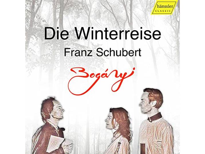 Schubert - die Winterreise