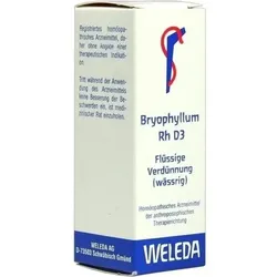 BRYOPHYLLUM RH D 3 Dilution 20 ml