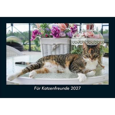 Für Katzenfreunde 2027 Fotokalender DIN A5
