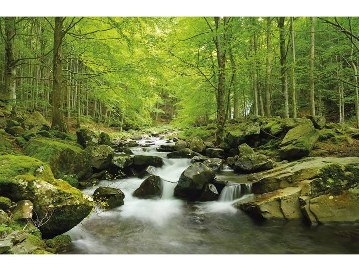 Fototapete PAPERMOON Soft Water Stream , bunt, B:2,5m L:1,86m, Vlies, Tapeten, Fototapete