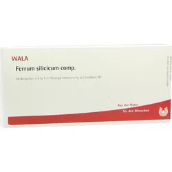 Ferrum Silicicum Comp 10 ML