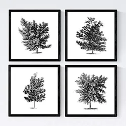 POSTER Set mit 4 Blättern der Laubbäume weiß 20x20cm Rahmenlos