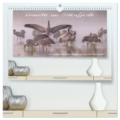 Kraniche am Schlafplatz - im Naturparadies der Mecklenburgischen Seenplatte (hochwertiger Premium Wandkalender 2026 DIN A2 quer), Kunstdruck in