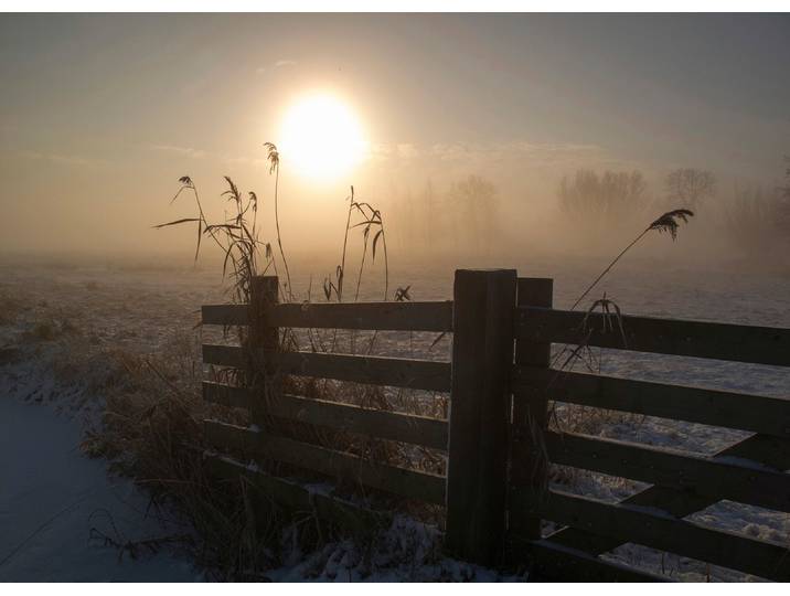 Fototapete PAPERMOON Photo-Art ALIDA VAN ZAANE, WINTERSTIMMUNG , bunt, B:5m L:2,8m, Vlies, Tapeten, Fototapete