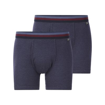 Retro Pants BABISTA "2er Pack Thermowäsche Unterhosen KELMOR", Herren, Gr. L, blau, Obermaterial: 75% Baumwolle CO. 25% Polyester COOLMAX PES(Coolmax)., Unterhosen