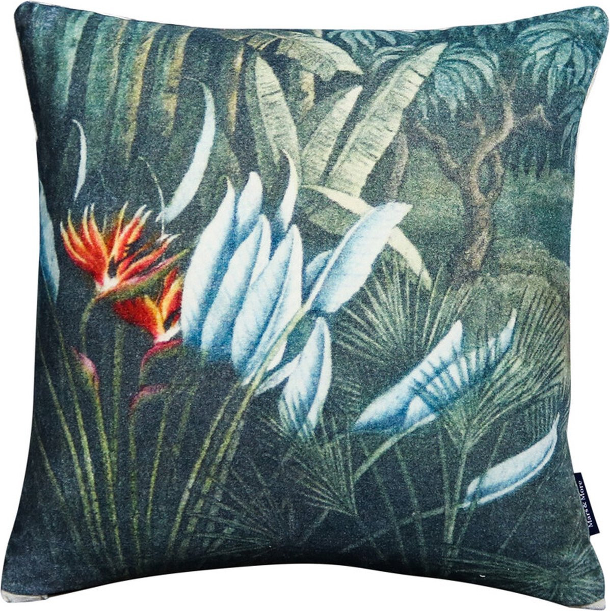 Sierkussen Fluweel Flamboyant Strelitzia Multicolor 45 x 45 cm