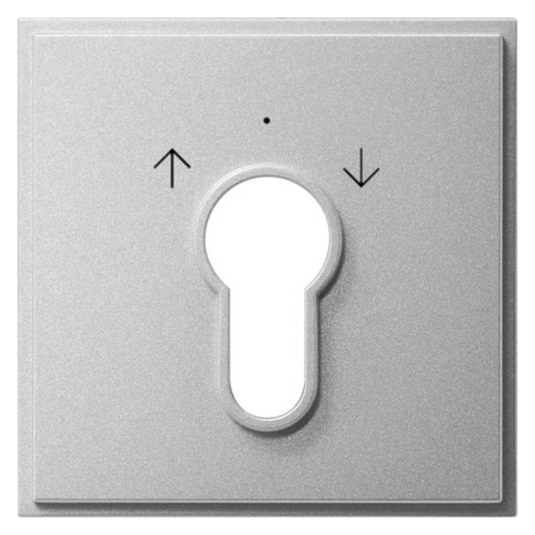 Gira Abd. Schlüsselschalter/-taster 066465 (066465)