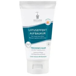 Lotuseffekt Aufbaukur Nr.19