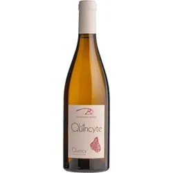 La Quincyte 2023 - Domaine Roux