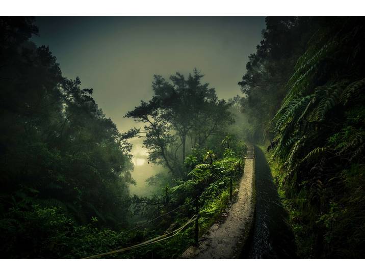 Fototapete PAPERMOON Photo-Art ROLAND WEBER, LEVADA WALK , bunt, B:3m L:2,23m, Vlies, Tapeten, Fototapete