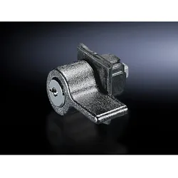 Rittal Kunststoff-Handgriff für SZ 2577.000