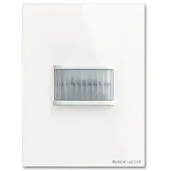 Busch-Jaeger Busch-Wächter 180 UP TBW/U.2.11-CG