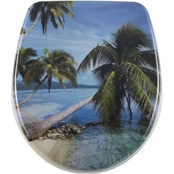 Diaqua, WC Deckel, Palm