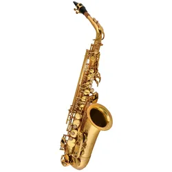 Chicago Winds CC-AS4100L Altsaxophon Goldlack - Altsaxophon