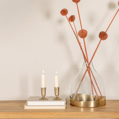 Storied Home Decorative Glass Cloche with Metal Tray