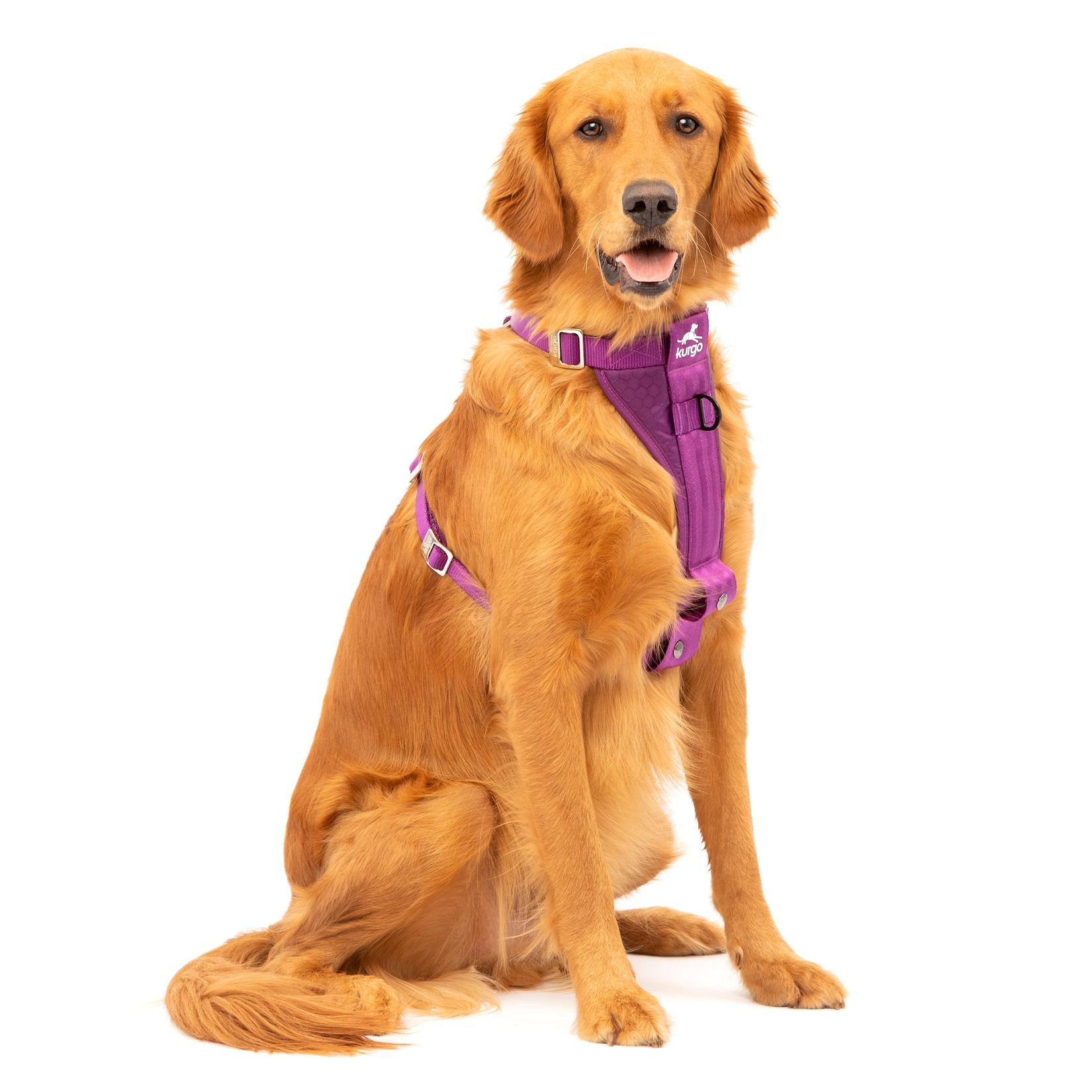 Kurgo Tru-Fit Autosicherheitsgeschirr für Hunde, Größe XL, Lila