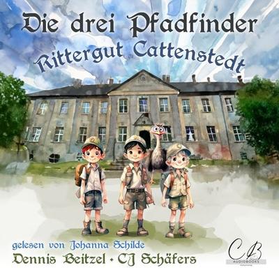 Die drei Pfadfinder - CJ Schäfers,Dennis Beitzel, Audio, 4099995353549