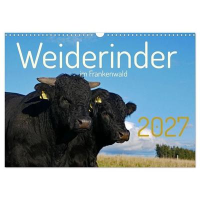 Weiderinder im Frankenwald (Wandkalender 2027 DIN A3 quer), CALVENDO Monatskalender