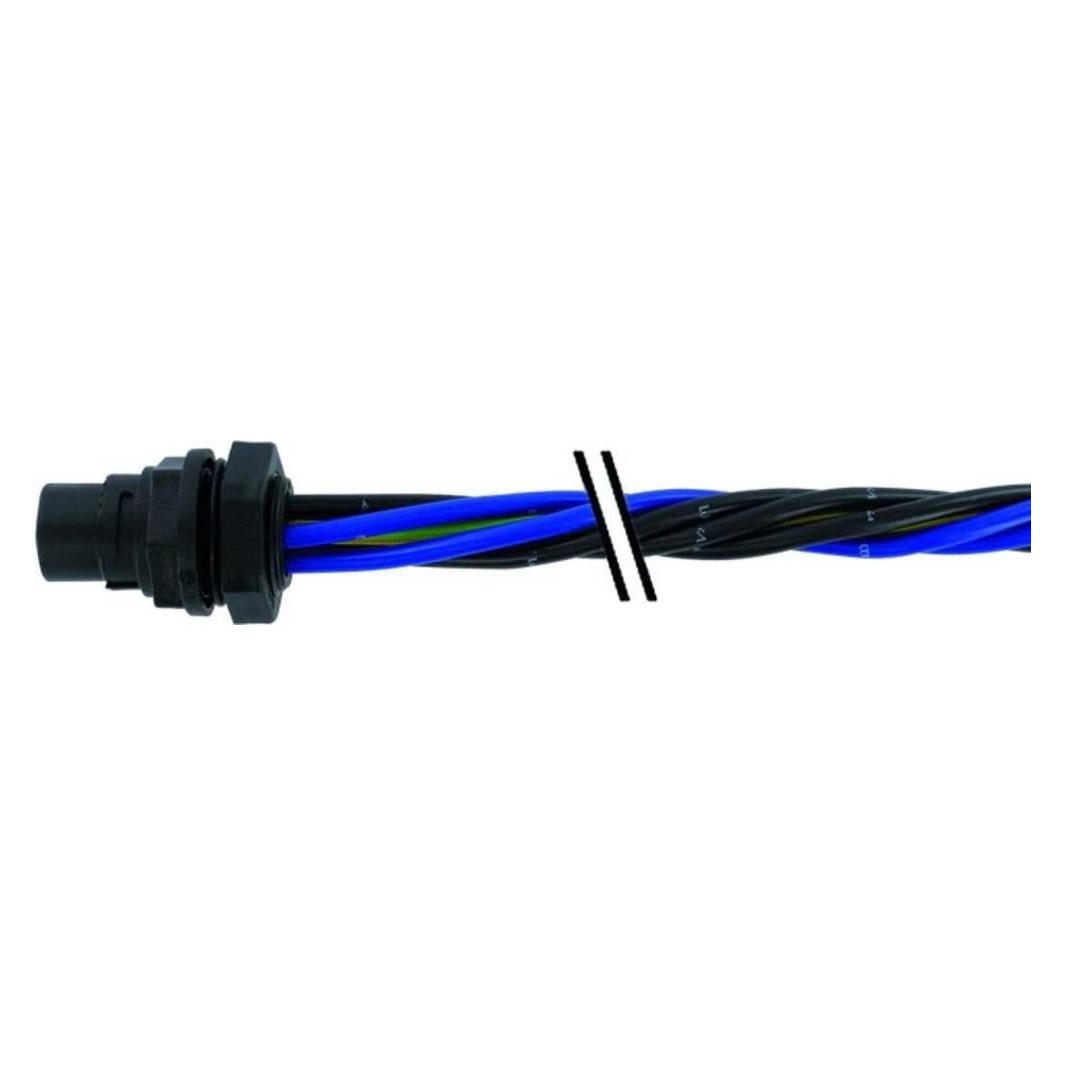 Murr Elektronik Sensor /Aktor Steckverbinder, konfektioniert (7000-P8181-P800025)