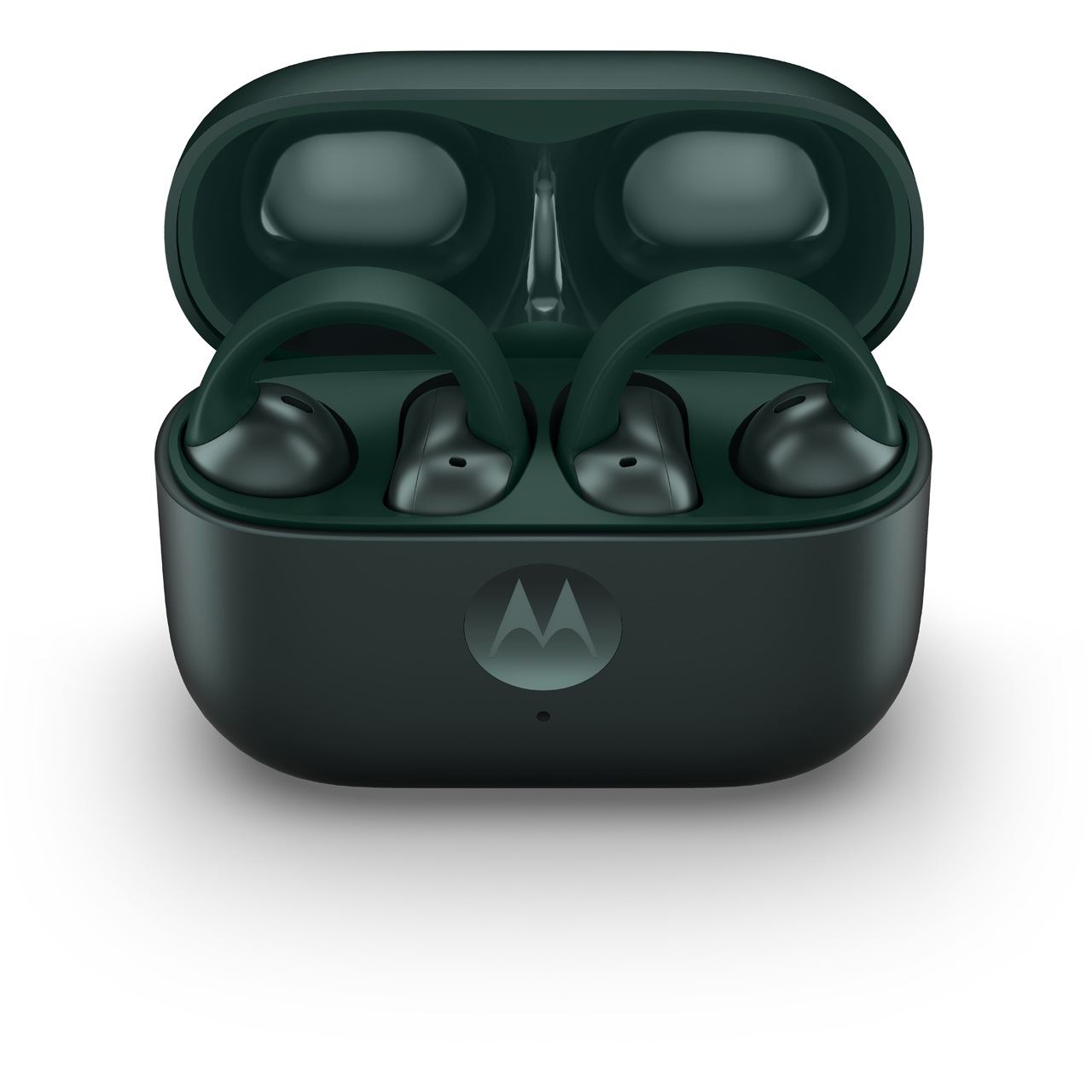 MOTOROLA moto buds loop In-Ear-Kopfhörer grün