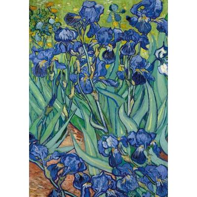 Notizbuch A5 blanko Softcover - 100 Seiten - Motiv Schwertlilien (Irises) Vincent van Gogh - 90g/m² - Papier, Taschenbuch von Notizbuch A5,Notebook