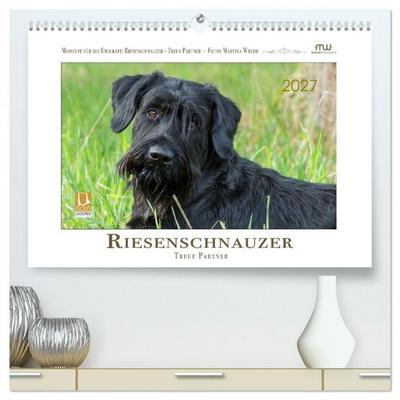 Riesenschnauzer - Treue Partner (hochwertiger Premium Wandkalender 2027 DIN A2 quer), Kunstdruck in Hochglanz