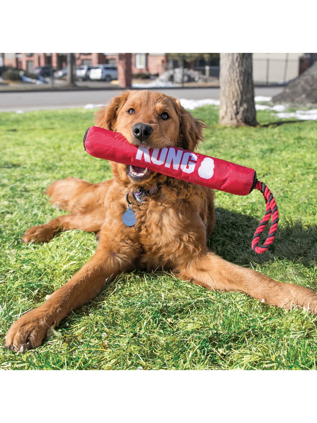 KONG Hundespielzeug Signature Stick mit Seil 30cm