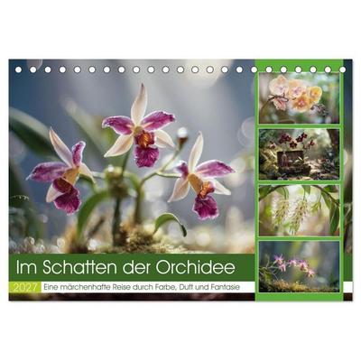 Im Schatten der Orchidee (Tischkalender 2027 DIN A5 quer), CALVENDO Monatskalender