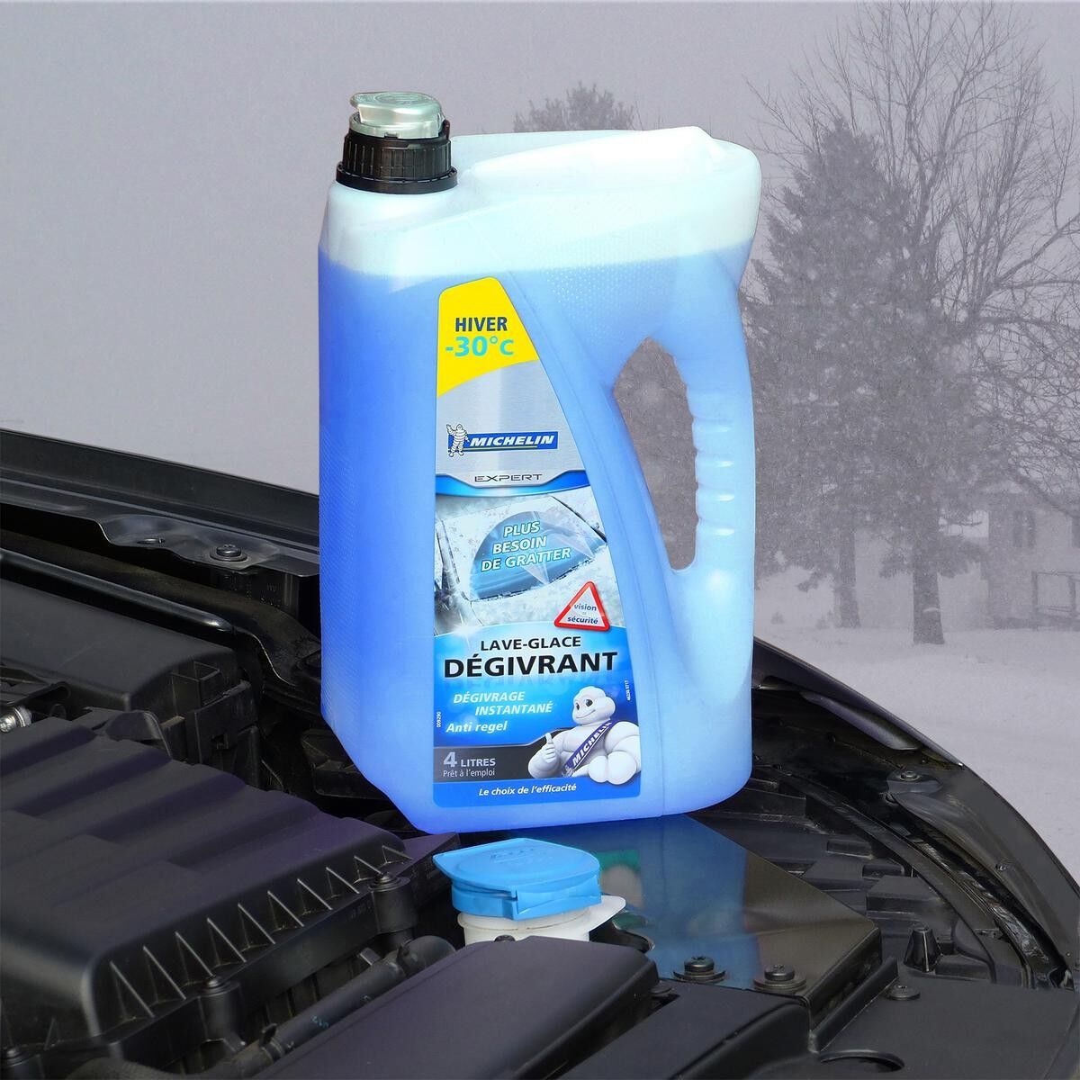 Michelin 009290 Scheibenfrostschutz