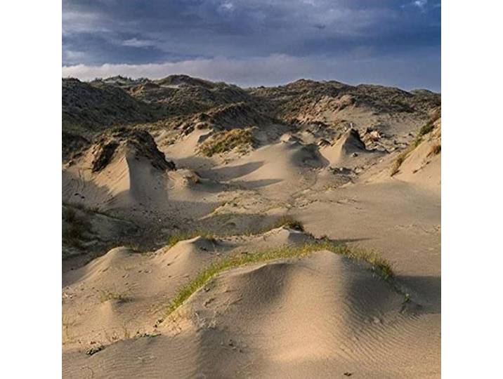 Dune Worship