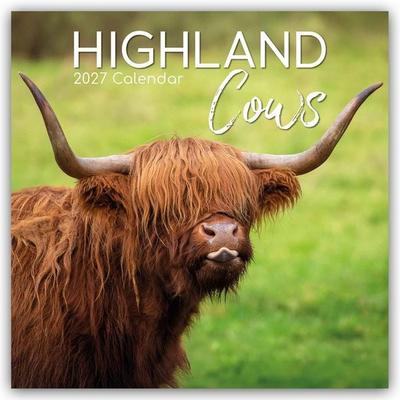 Highland Cows – Hochland-Kühe – Hochlandrinder 2027 – 16-Monatskalender