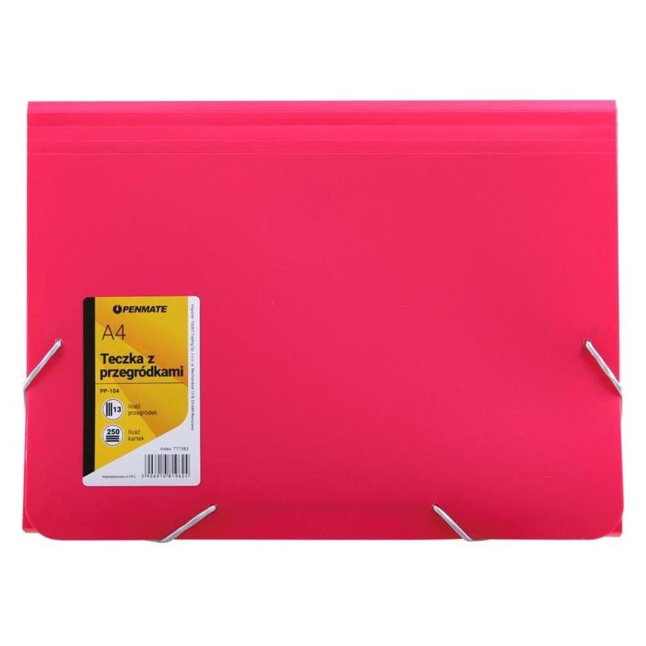 Penmate Ordner mit Fächern A4 PP-104 rosa (A4) (315716)