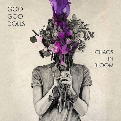 Chaos In Bloom, 2 Schallplatten - Goo Goo Dolls, Sonstige