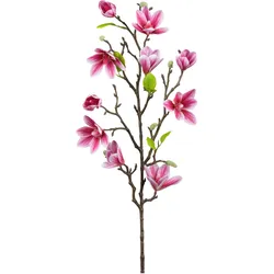 Magnolie Pink ca. 83cm