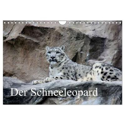 Der Schneeleopard (Wandkalender 2027 DIN A4 quer), CALVENDO Monatskalender