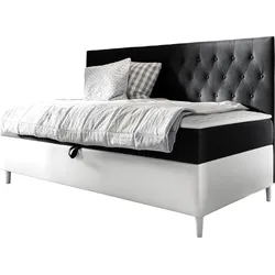 BOXBETT Filip Junior 2 - H3